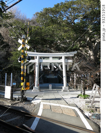 江ノ電の踏切が鳥居前にある鎌倉市の御霊神社（権五郎神社） 93251918