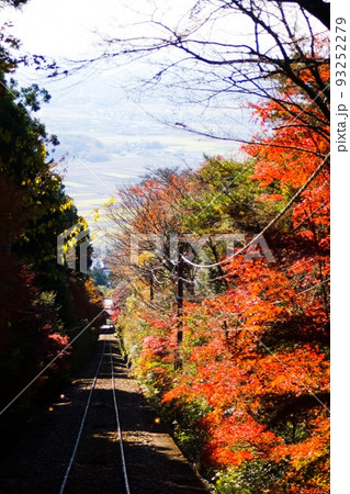 紅葉の筑波山 ケーブルカーからの展望 紅葉の筑波山 ケーブルカーからの展望 93252279