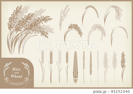 様々な米と小麦のイラストセット。 93252340