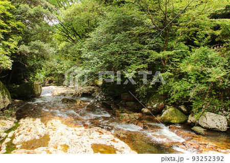 愛媛県松野町 滑床渓谷の風景 愛媛県松野町 滑床渓谷の風景 93252392