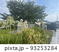 石像　広場 93253284