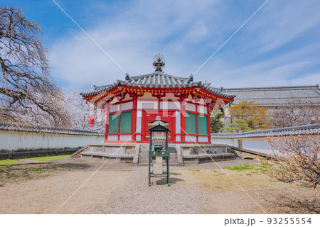 信州夢殿【春の長福寺】 93255554