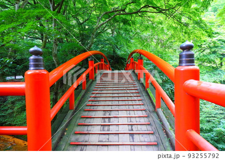 伊香保温泉・河鹿橋【群馬県】 伊香保温泉・河鹿橋【群馬県】 93255792