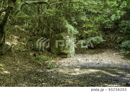 金光町占見　道満池の坊主岩　岡山県浅口市 93256203