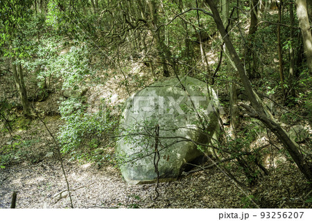 金光町占見　道満池の坊主岩　岡山県浅口市 93256207