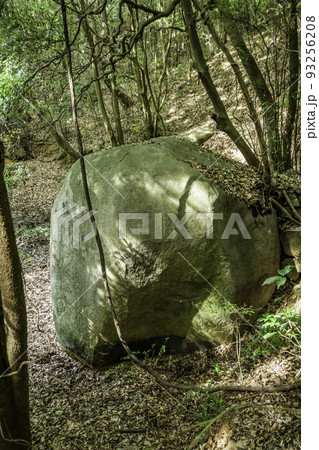 金光町占見　道満池の坊主岩　岡山県浅口市 93256208