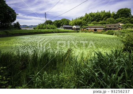 金光町占見　迫池　岡山県浅口市 93256237