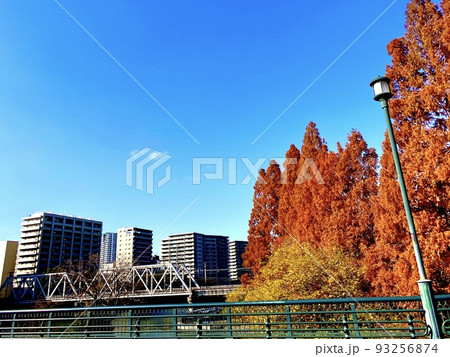 源八橋から紅葉した樹木越しに環状線の鉄橋が見える風景 源八橋から紅葉した樹木越しに環状線の鉄橋が見える風景 93256874