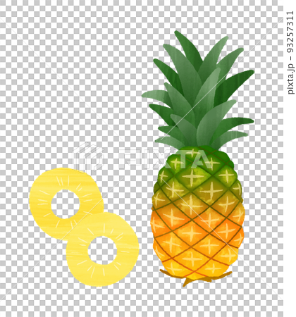 菠蘿 93257311