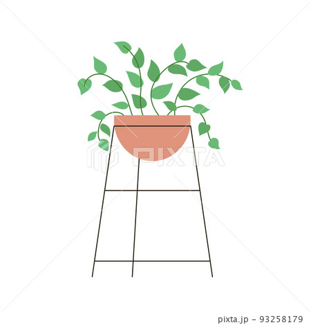 Decorative home flower isolated on white background 93258179