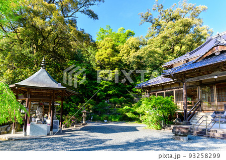 日輪寺つつじ公園「日輪寺　境内風景」 93258299