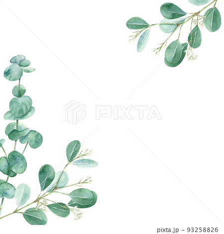 Watercolor frame, eucalyptus leaves. Rustic foliage. Hand drawn botanical illustration isolated on white background. Ideal for stationery, invitations, save the date, wedding, greeting card, baby 93258826