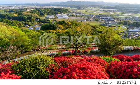 日輪寺つつじ公園「山頂展望から観た市街地景色とツツジ公園風景」観光名所:日輪寺つつじ公園 日輪寺つつじ公園「山頂展望から観た市街地景色とツツジ公園風景」観光名所:日輪寺つつじ公園 93258841