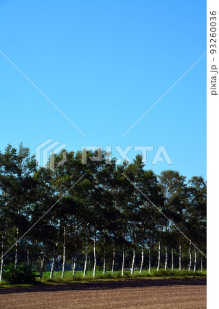 雄大なる十勝平野の大地 93260036