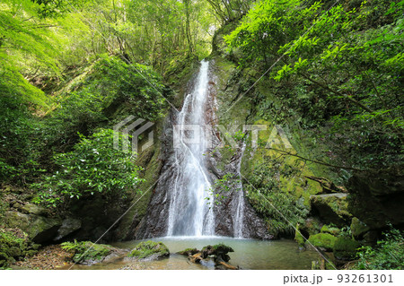 愛媛県内子町 紅葉ヶ滝 愛媛県内子町 紅葉ヶ滝 93261301