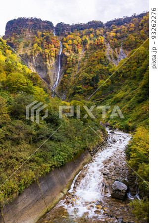 秋の富山　紅葉の称名渓谷　幻のハンノキ滝と称名川 93262276