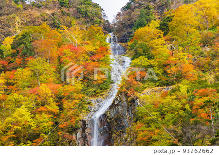 秋の富山　紅葉の称名渓谷　幻のハンノキ滝 93262662