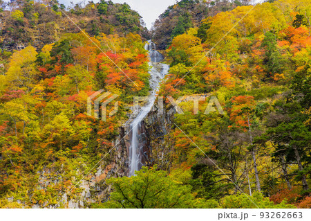 秋の富山　紅葉の称名渓谷　幻のハンノキ滝 93262663