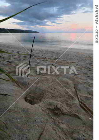 ウミガメ脱出跡の砂浜(奄美大島) ウミガメ脱出跡の砂浜(奄美大島) 93262693