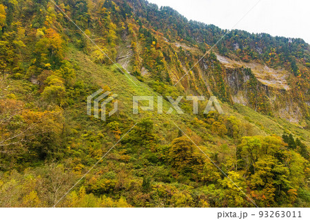 秋の富山 紅葉の称名渓谷 悪城の壁 秋の富山 紅葉の称名渓谷 悪城の壁 93263011