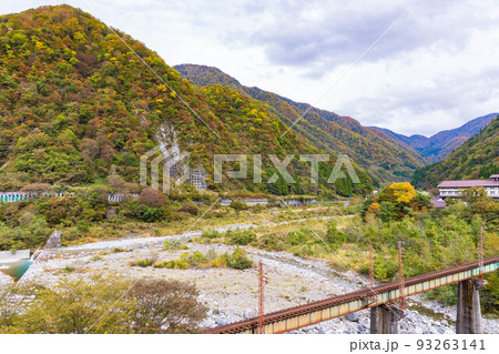 秋の富山　立山駅周辺の紅葉 93263141