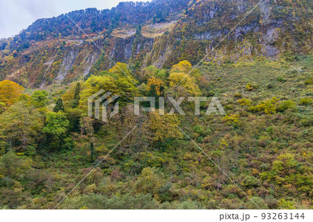 秋の富山　紅葉の称名渓谷　悪城の壁 93263144