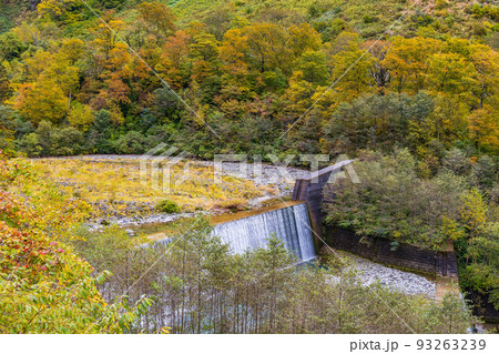秋の富山　紅葉の称名渓谷　称名川 93263239