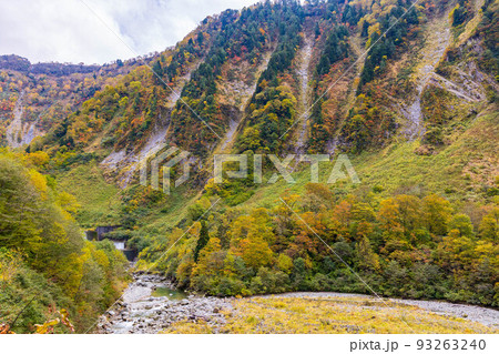 秋の富山　紅葉の称名渓谷　称名川 93263240