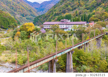 秋の富山 立山駅周辺の紅葉 秋の富山 立山駅周辺の紅葉 93263515