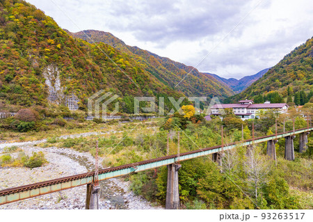 秋の富山　立山駅周辺の紅葉 93263517