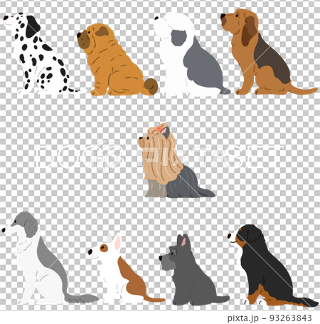 横を向いてお座りするシンプルで可愛い犬のイラストセットF 　主線なし 93263843