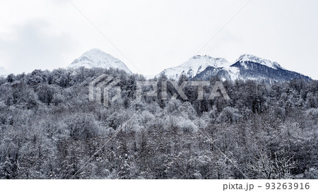 Snowy mountain peaks in a winter forest against a cloudy sky. Snow-covered wooded mountains of ski resort. Winter mountains in cloudy weather Snowy mountain peaks in a winter forest against a cloudy sky. Snow-covered wooded mountains of ski resort. Winter mountains in cloudy weather 93263916