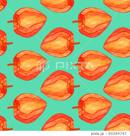 Green physalis geometrical Seamless pattern, watercolor 93264747