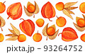 Hand drawn physalis seamless border isolated on white background 93264752