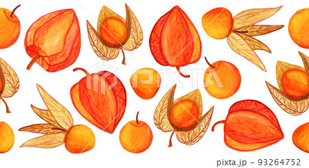 Hand drawn physalis seamless border isolated on white background 93264752