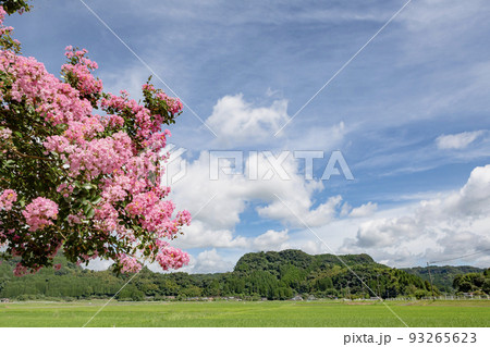 田園の夏の風景 田園の夏の風景 93265623