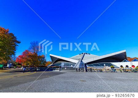 東京　世田谷区　秋の駒沢オリンピック公園の紅葉　駒沢体育館 93265670