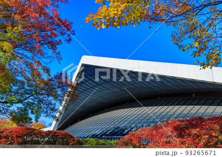 東京　世田谷区　秋の駒沢オリンピック公園の紅葉　駒沢体育館 93265671