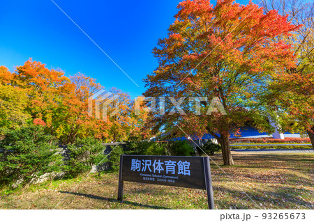 東京　世田谷区　秋の駒沢オリンピック公園の紅葉　駒沢体育館 93265673