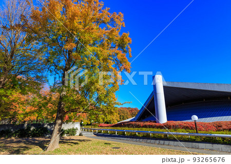 東京 世田谷区 秋の駒沢オリンピック公園の紅葉 駒沢体育館 東京 世田谷区 秋の駒沢オリンピック公園の紅葉 駒沢体育館 93265676