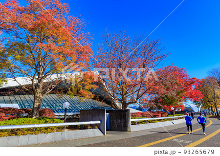 東京 世田谷区 秋の駒沢オリンピック公園の紅葉 駒沢体育館 東京 世田谷区 秋の駒沢オリンピック公園の紅葉 駒沢体育館 93265679