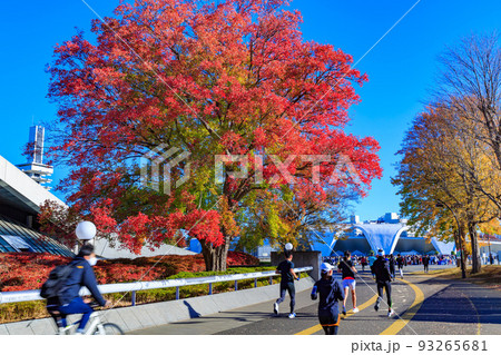 東京 世田谷区 秋の駒沢オリンピック公園の紅葉 駒沢体育館 東京 世田谷区 秋の駒沢オリンピック公園の紅葉 駒沢体育館 93265681