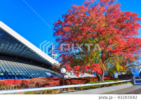 東京 世田谷区 秋の駒沢オリンピック公園の紅葉 駒沢体育館 東京 世田谷区 秋の駒沢オリンピック公園の紅葉 駒沢体育館 93265682