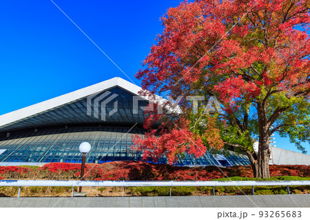 東京 世田谷区 秋の駒沢オリンピック公園の紅葉 駒沢体育館 東京 世田谷区 秋の駒沢オリンピック公園の紅葉 駒沢体育館 93265683