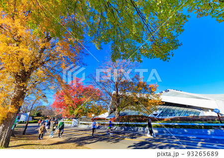 東京 世田谷区 秋の駒沢オリンピック公園の紅葉 駒沢体育館 東京 世田谷区 秋の駒沢オリンピック公園の紅葉 駒沢体育館 93265689