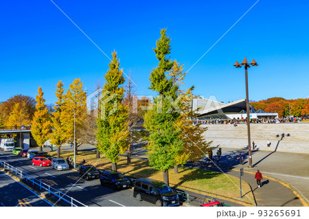 東京　世田谷区　秋の駒沢オリンピック公園の紅葉　イチョウ並木と駒沢体育館 93265691