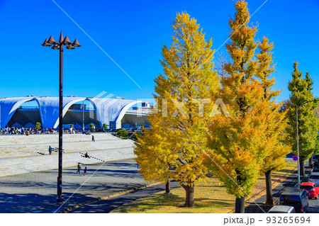 東京　世田谷区　秋の駒沢オリンピック公園の紅葉　イチョウ並木と陸上競技場 93265694