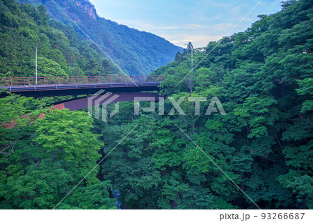吹割大橋　国道120号　吹き割の滝入口付近　初夏の風景 93266687