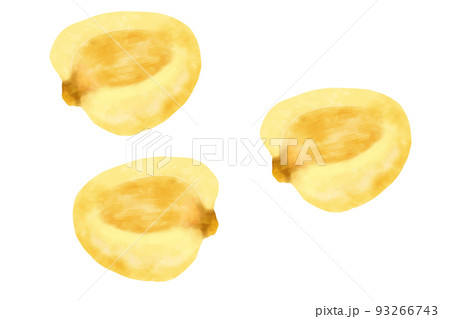 ジャイアントコーン 93266743