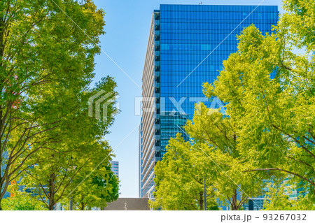新緑の都市風景 新緑の都市風景 93267032